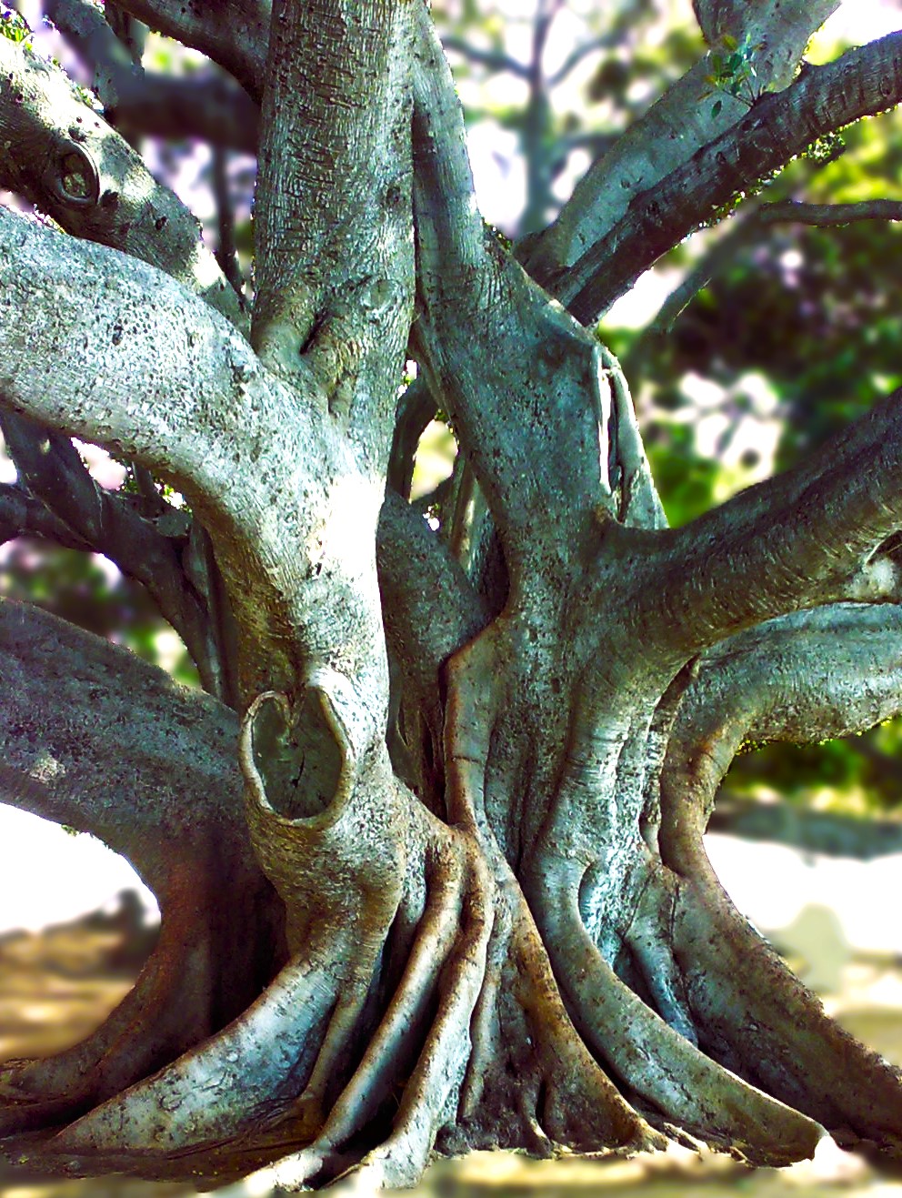 Lo segundo: enredar las&nbsp;luchas